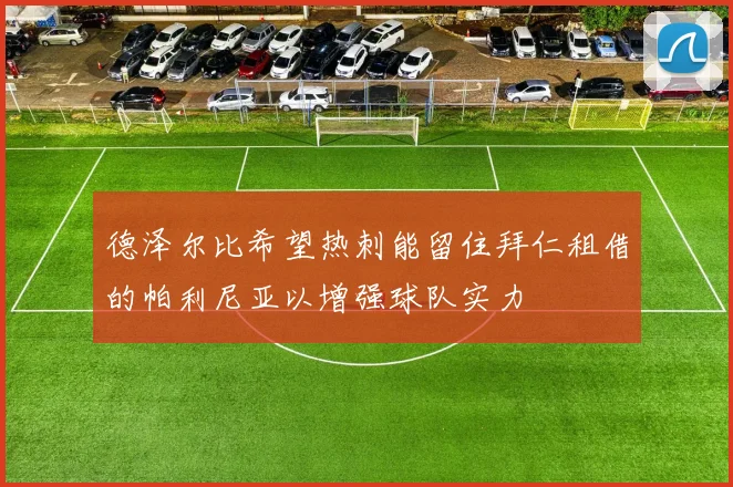 德泽尔比希望热刺能留住拜仁租借的帕利尼亚以增强球队实力